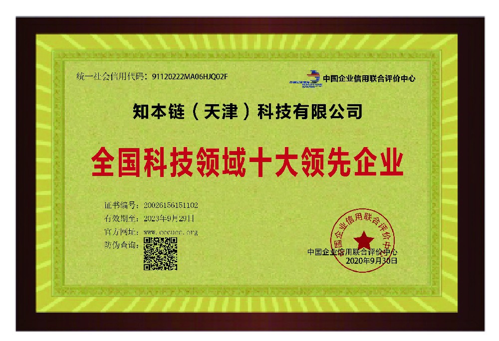 全国科技领域十大领先企业