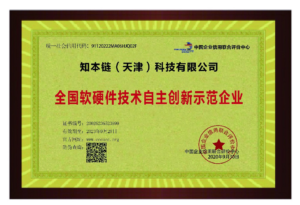 全国软硬件技术自主创新示范企业
